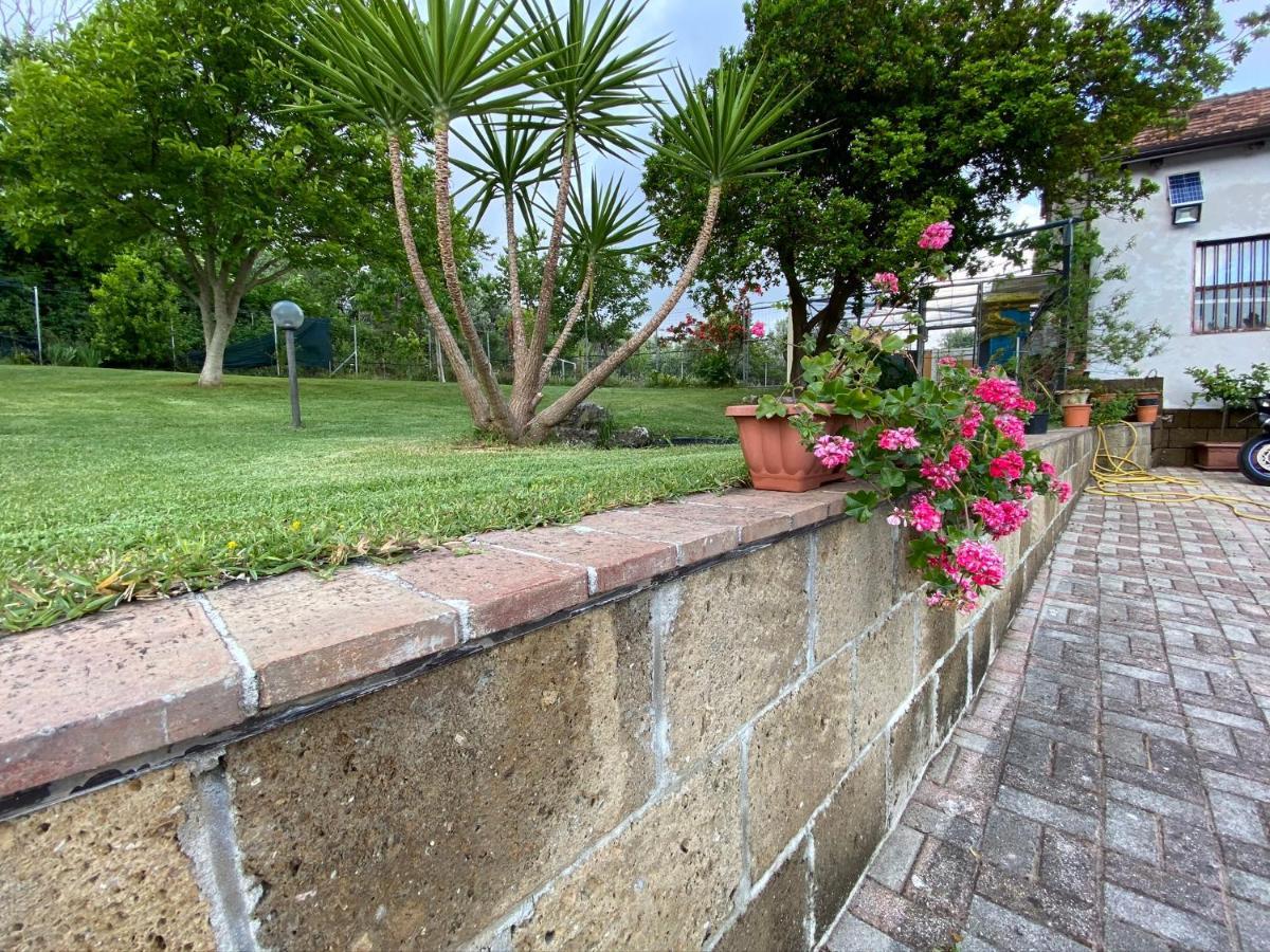 A Casa Di Nonna Emilia Bed & Breakfast Campagna Dış mekan fotoğraf