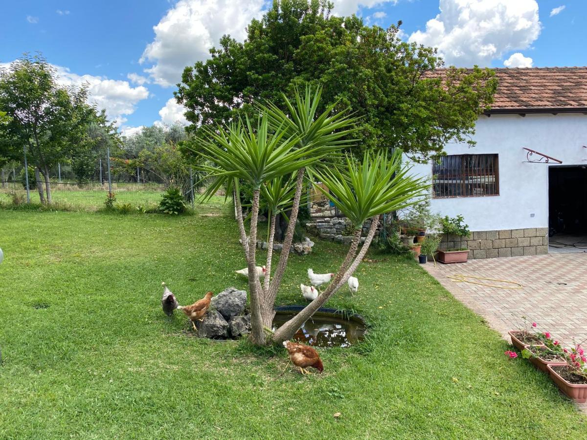 A Casa Di Nonna Emilia Bed & Breakfast Campagna Dış mekan fotoğraf